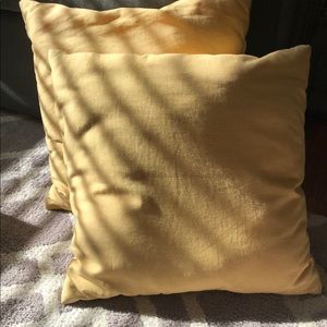 Decorative throw pillows set of 2